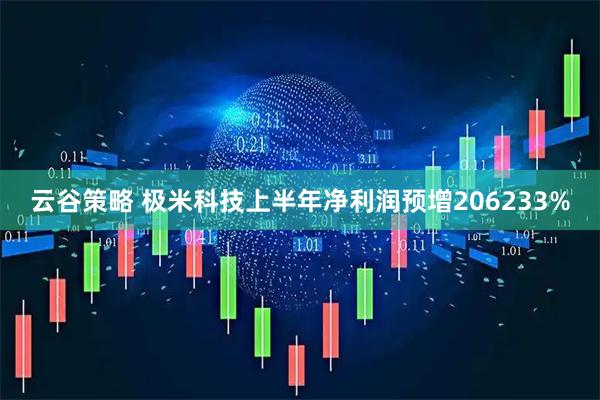 云谷策略 极米科技上半年净利润预增206233%