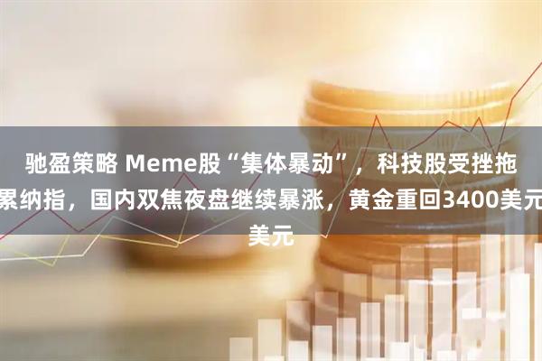 驰盈策略 Meme股“集体暴动”，科技股受挫拖累纳指，国内双焦夜盘继续暴涨，黄金重回3400美元