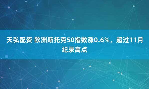 天弘配资 欧洲斯托克50指数涨0.6%，超过11月纪录高点